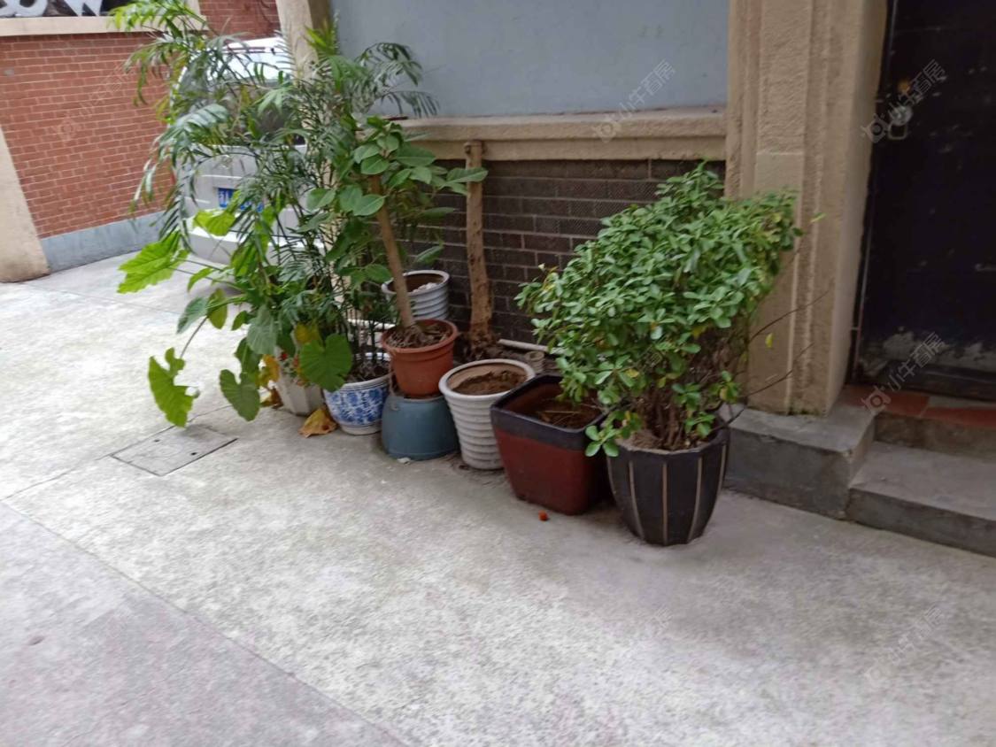 上海巨鹿路244弄小区_巨鹿路244弄小区null