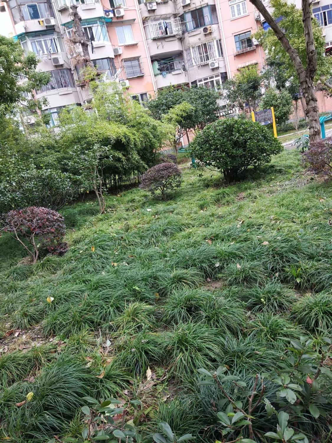 上海花苑村紫竹园小区_花苑村紫竹园小区null