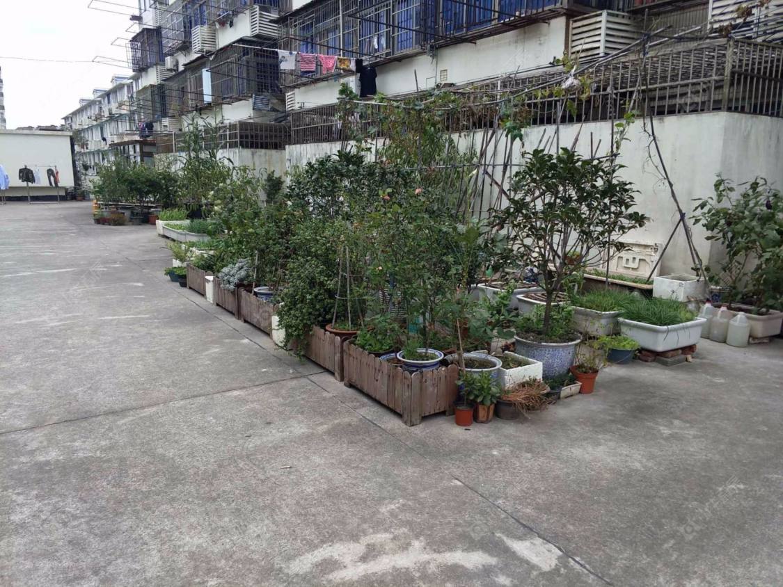 上海东方路3721弄小区_东方路3721弄小区null