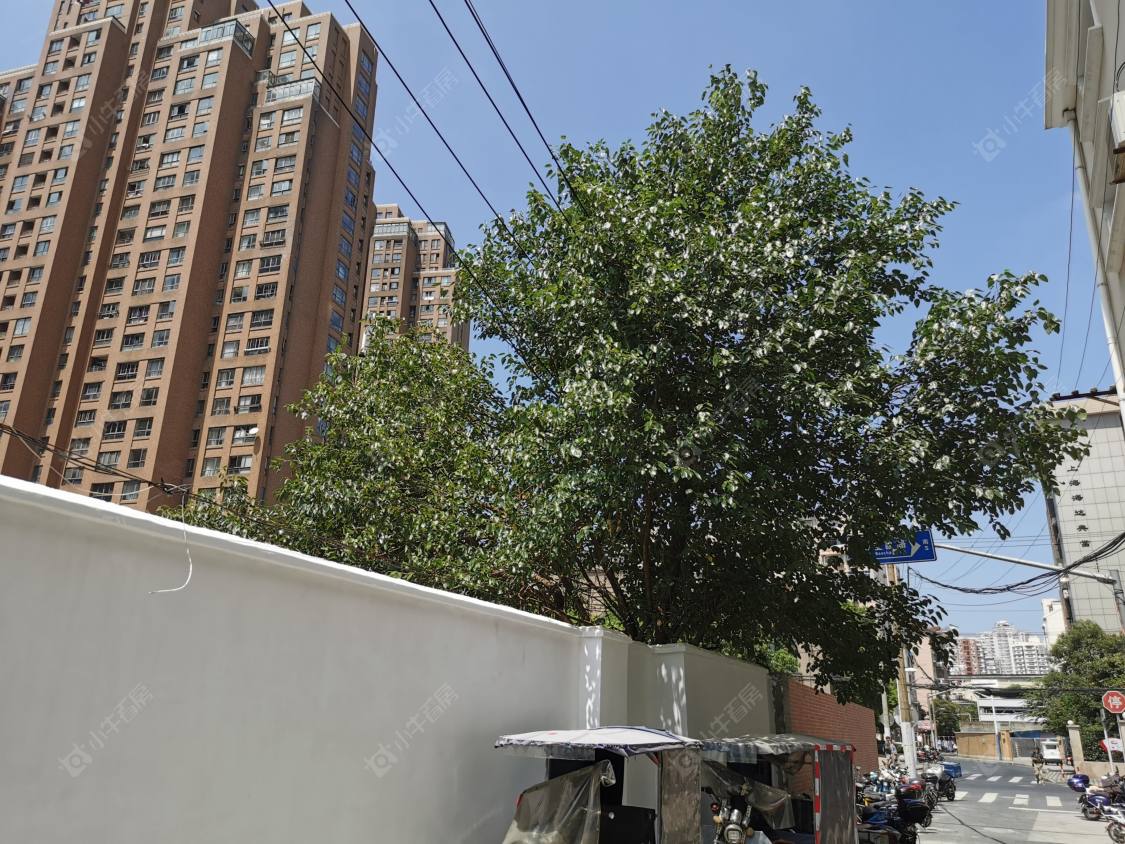 上海陆丰路（静安）小区_陆丰路（静安）小区null