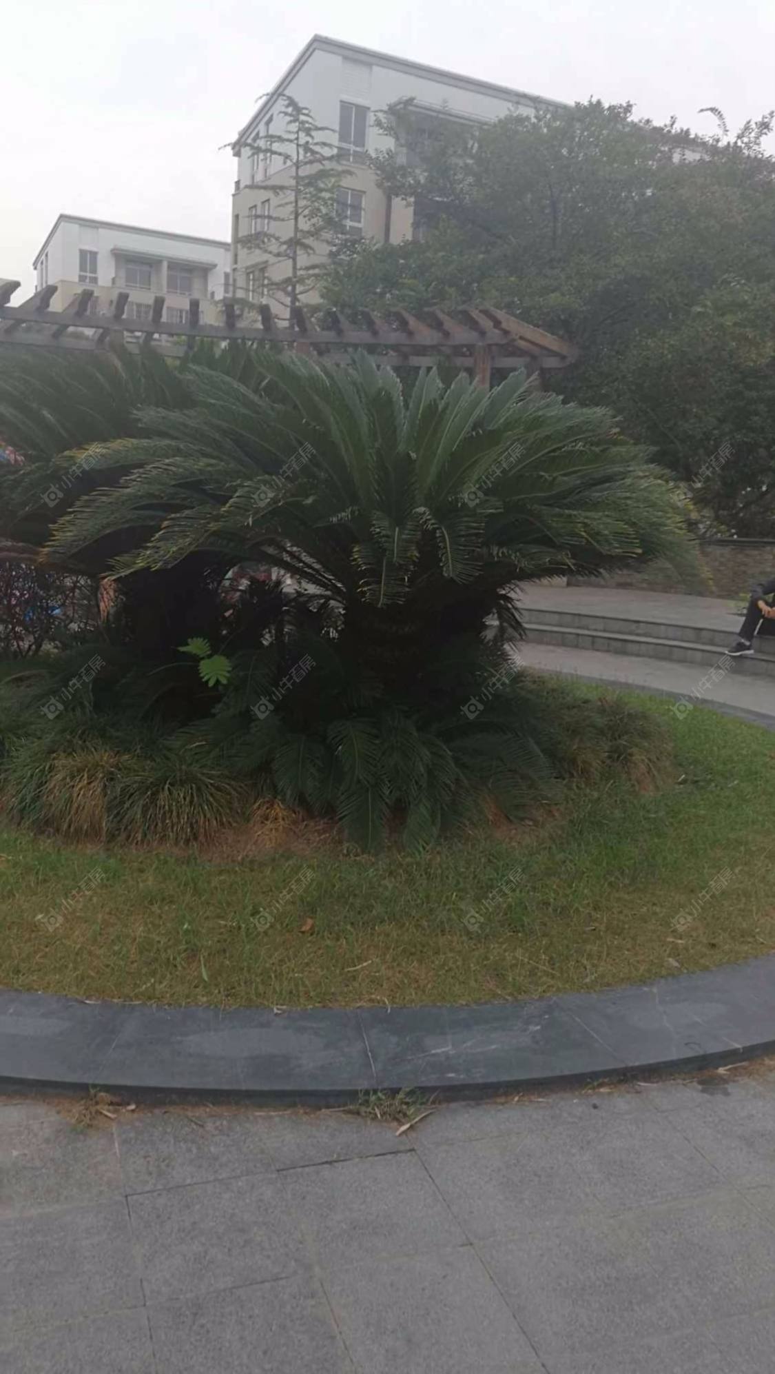 上海金硕河畔景园东区小区_小牛看房