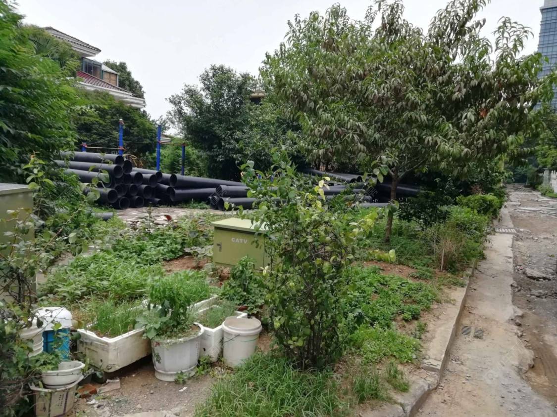 上海金陆大厦小区_金陆大厦小区null