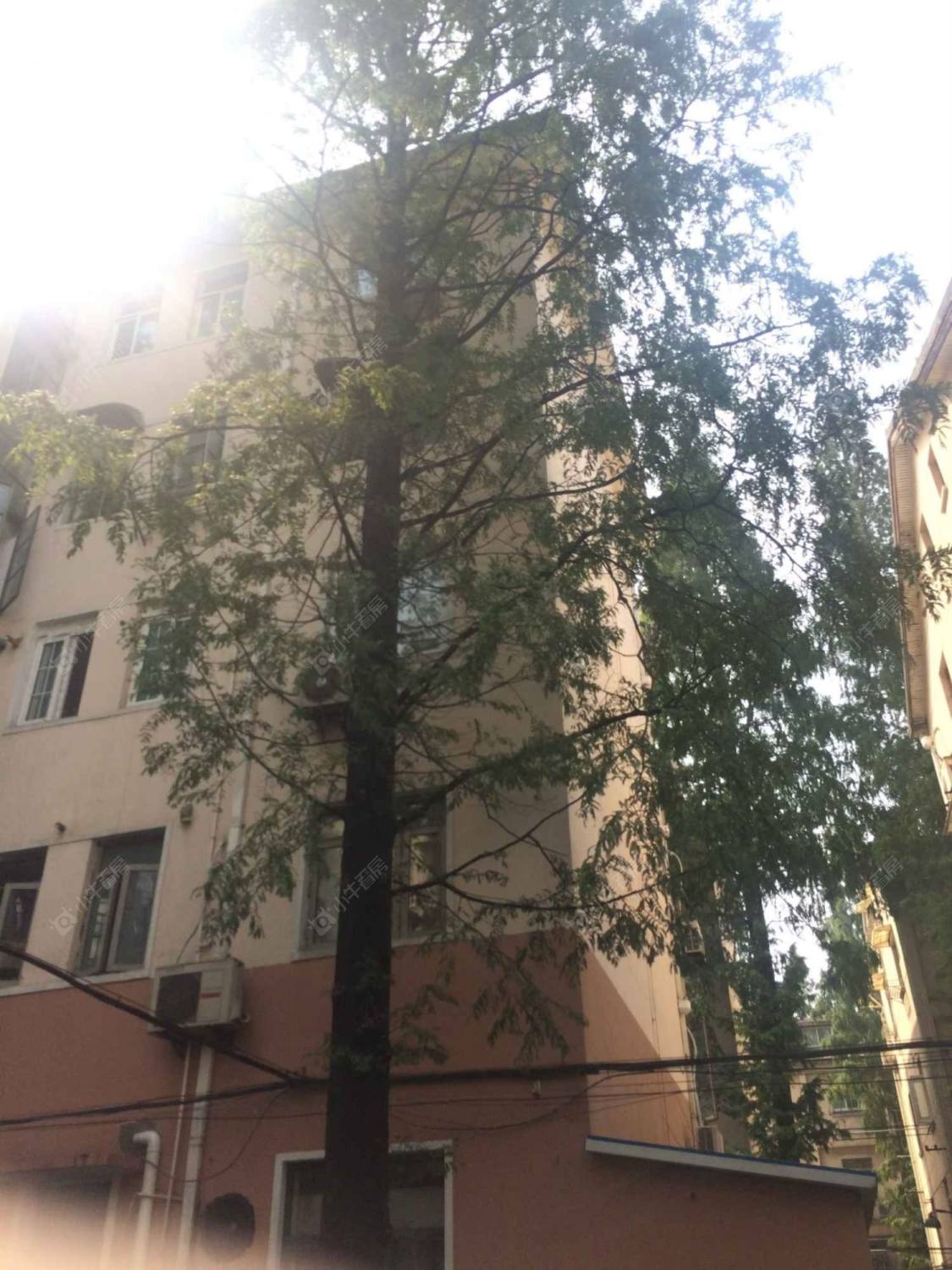 上海文缘村小区_文缘村小区null