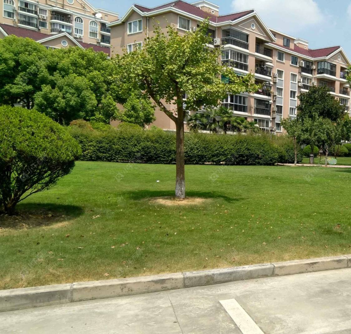 虹康花苑一期封面图_小牛看房