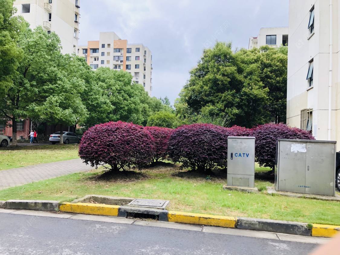 上海古楼公路1958弄小区_古楼公路1958弄小区null