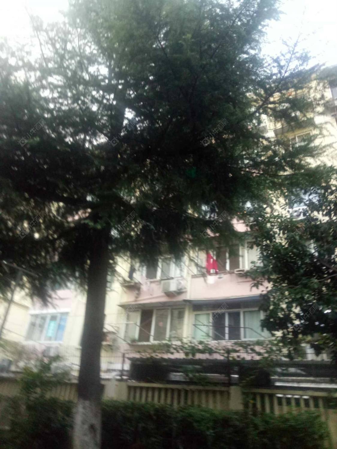 上海福竹小区小区_福竹小区小区null