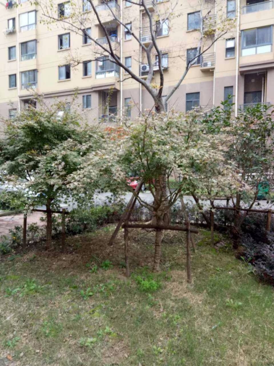 上海馨佳园七街坊小区_馨佳园七街坊小区null