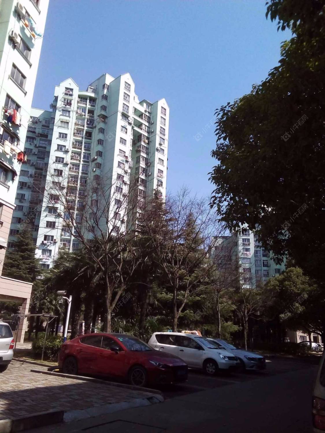 上海棕榈苑小区_棕榈苑小区null