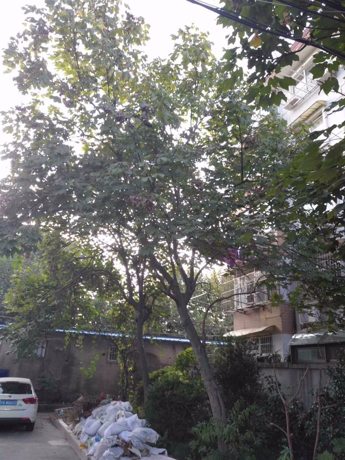 上海云台路255弄小区_云台路255弄小区null