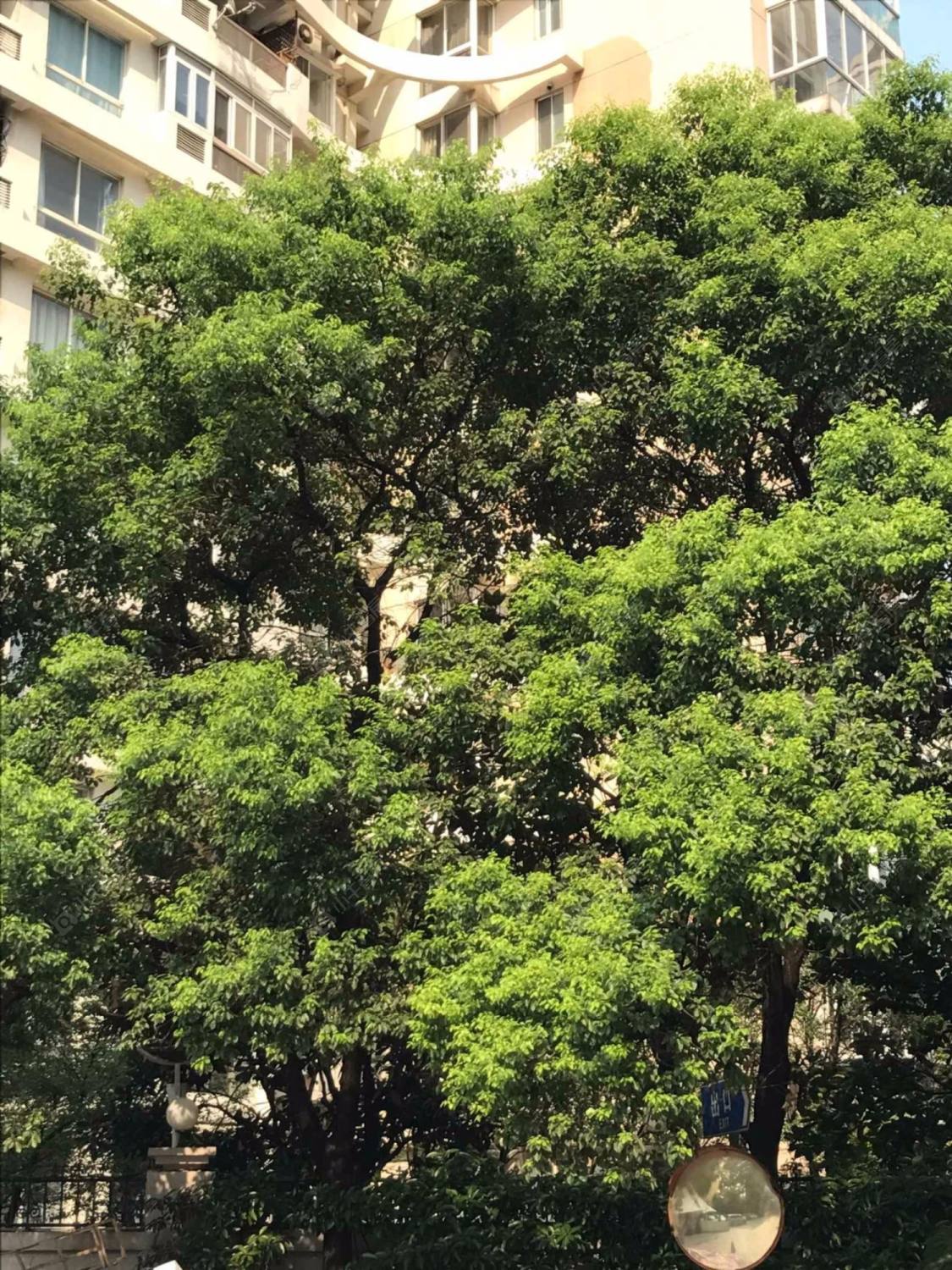 上海静安国际广场小区_静安国际广场小区null