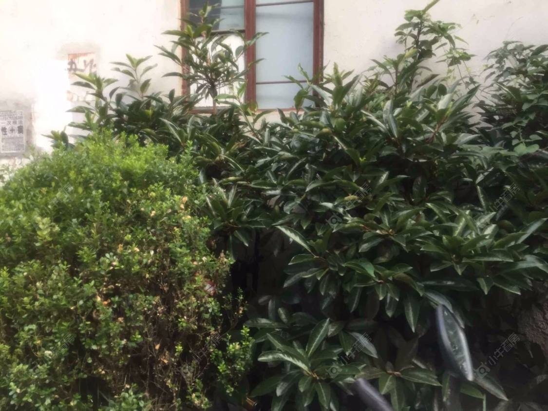 上海静安长兴小区小区_小牛看房