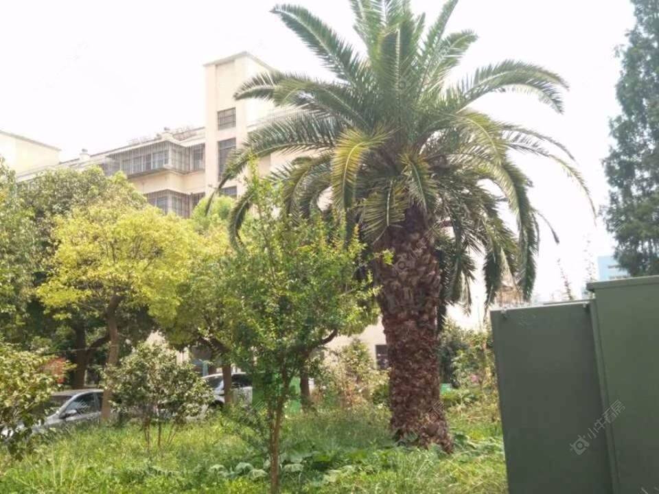 上海盛和小区小区_盛和小区小区null