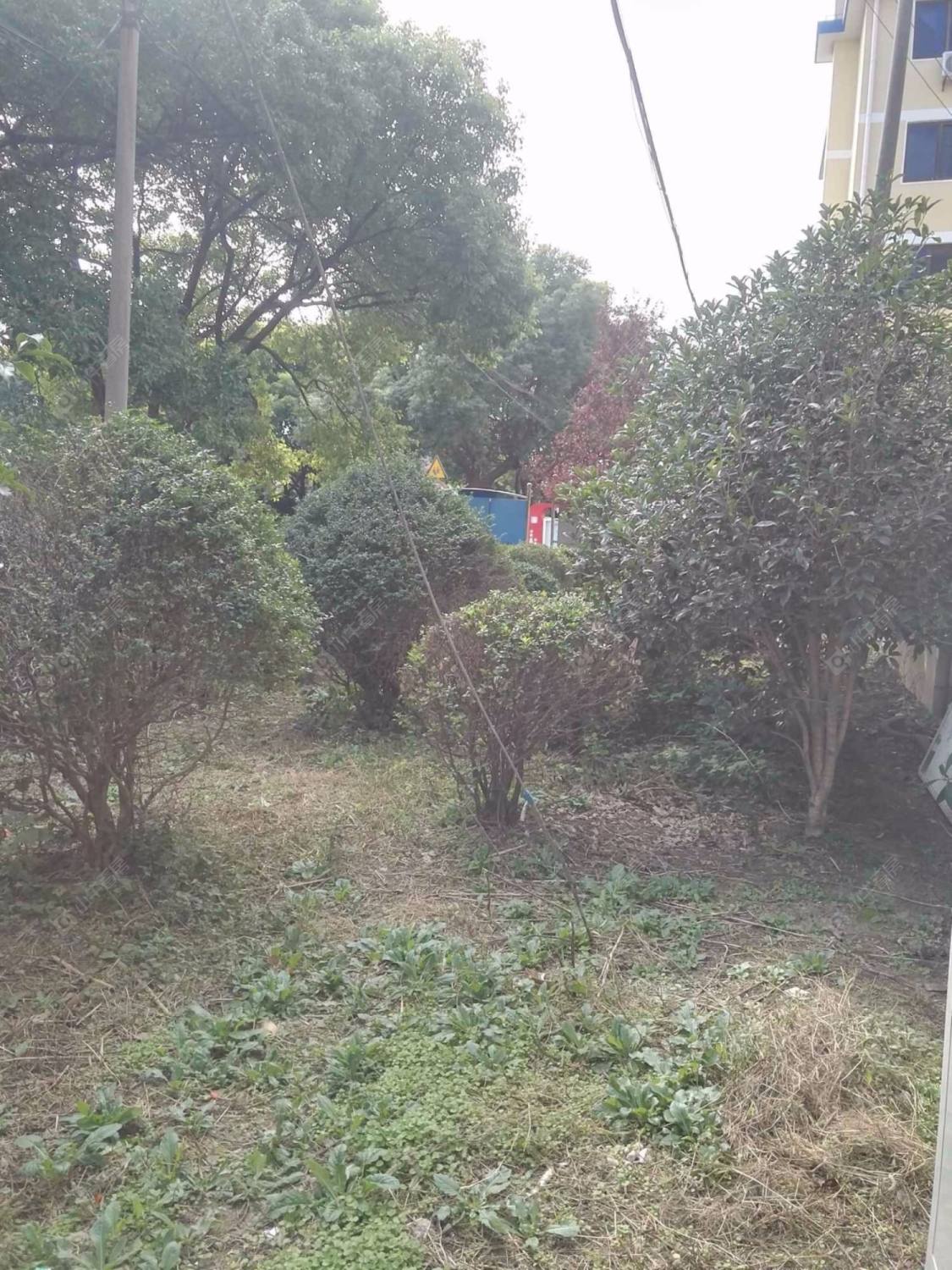 上海教工苑小区_教工苑小区null