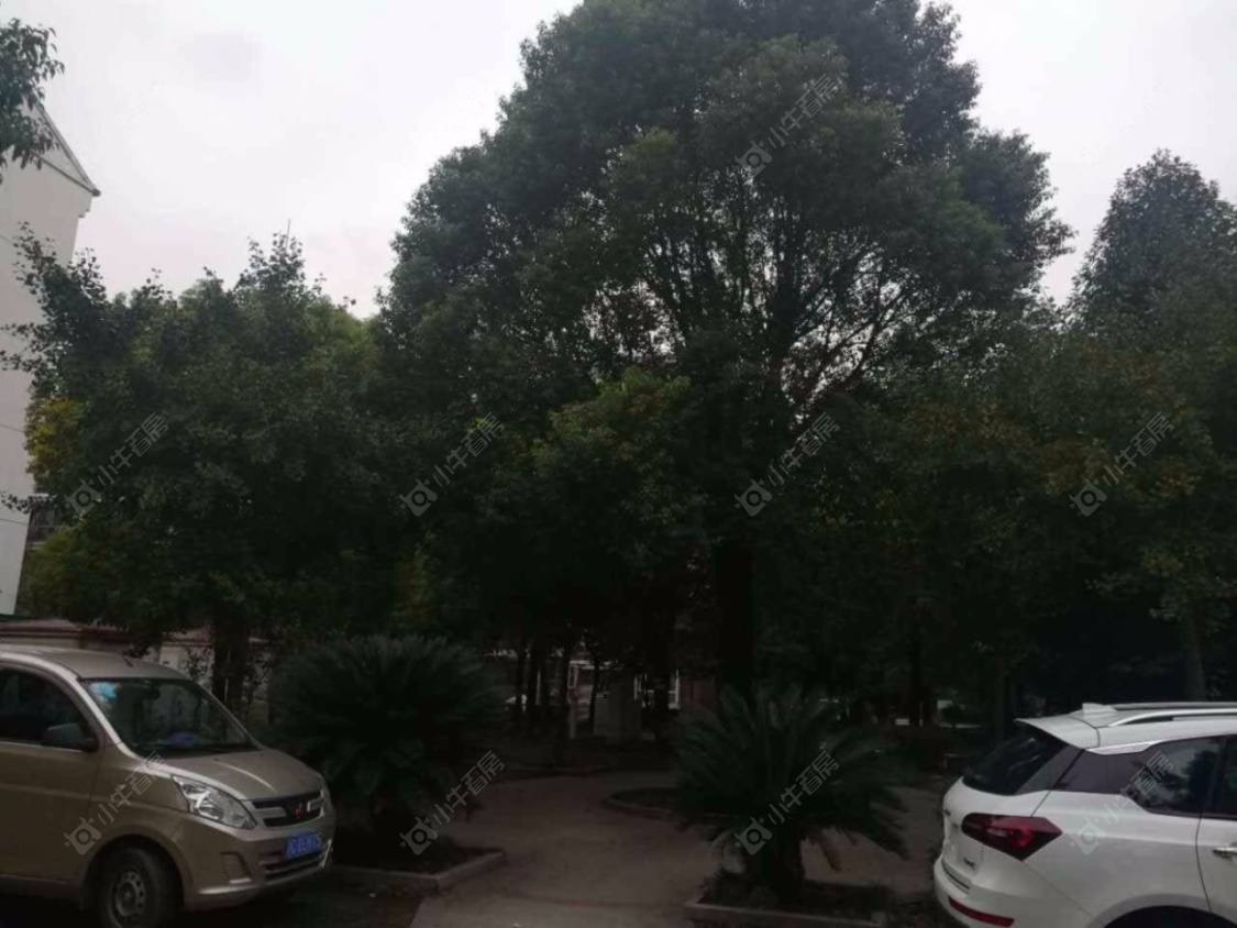 上海徐泾河畔家苑小区_徐泾河畔家苑小区null