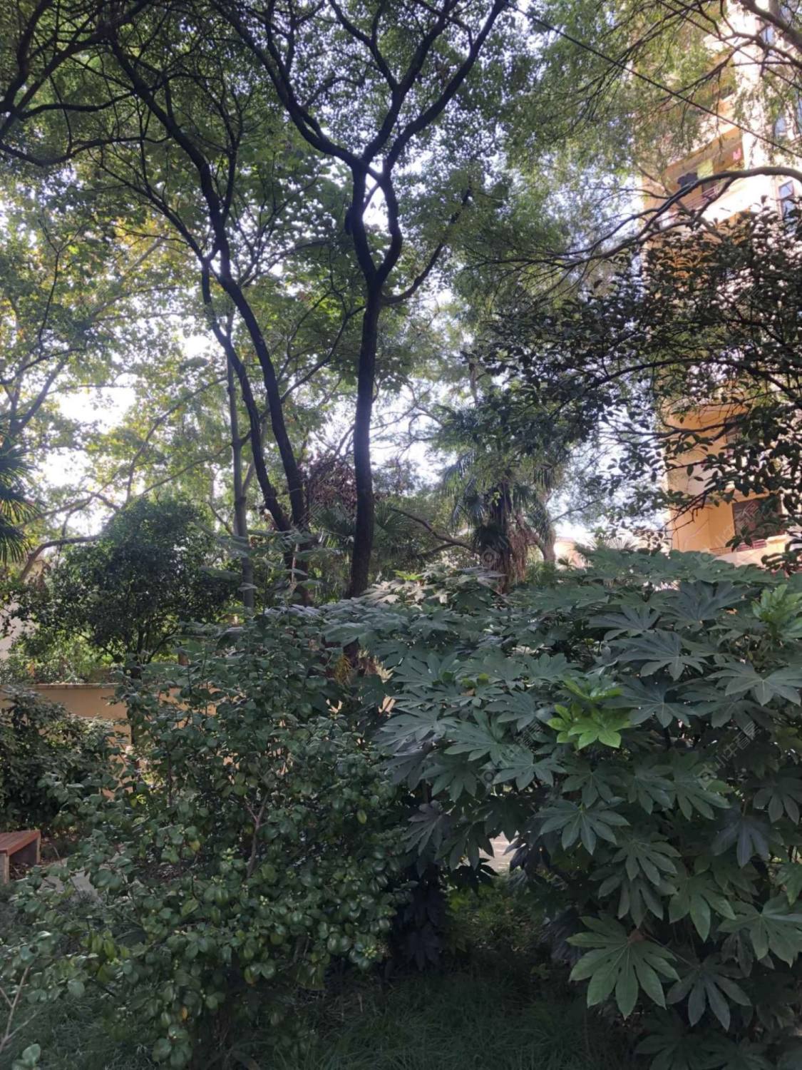 上海卫乐精舍小区_卫乐精舍小区null