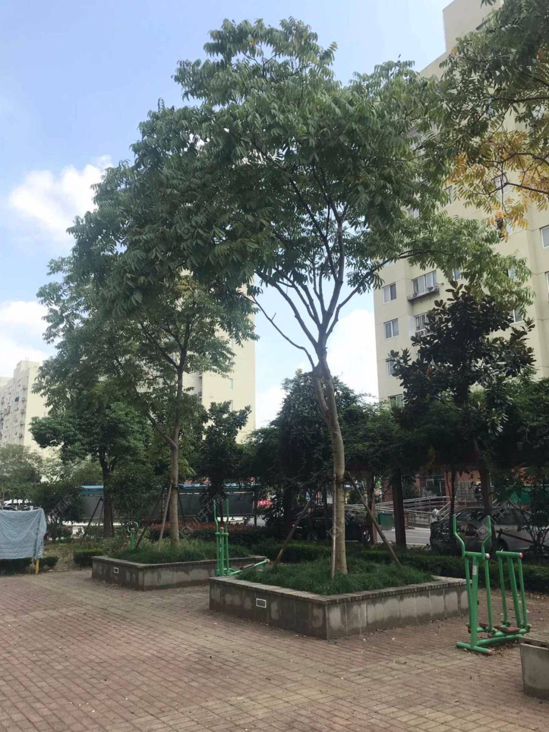 上海金葵新城东区小区_金葵新城东区小区null