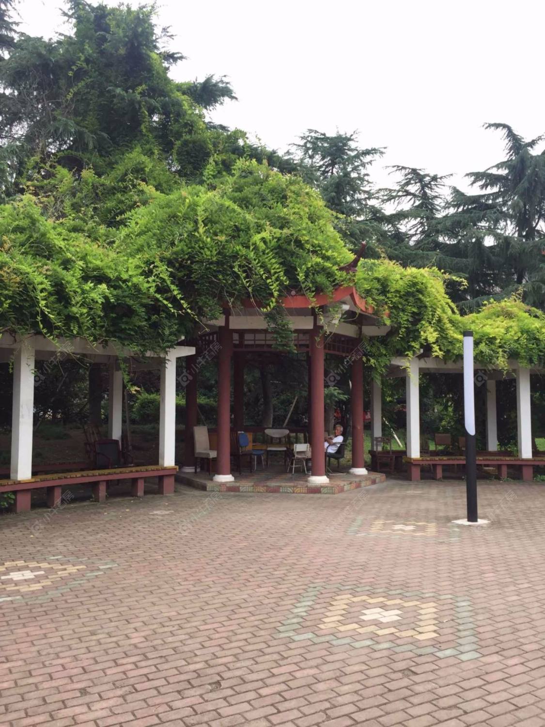 上海呼玛一村小区_呼玛一村小区null