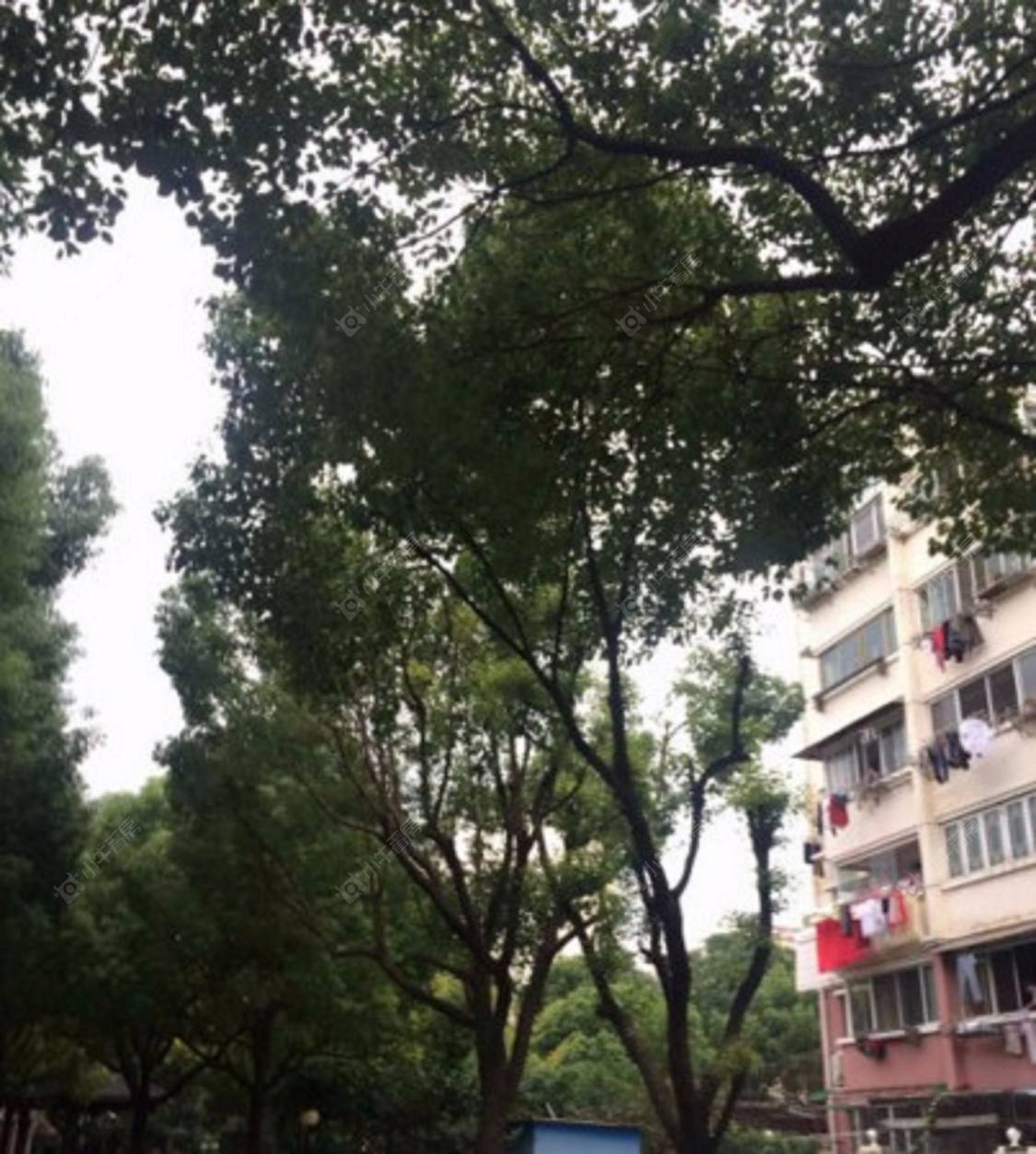 上海伟业金锦苑一村小区_伟业金锦苑一村小区null