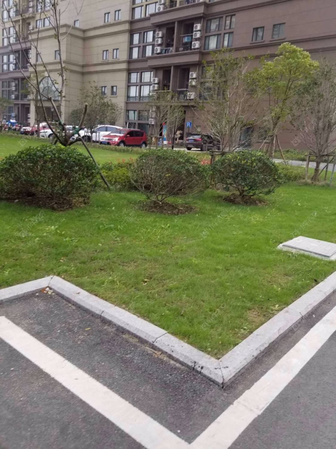 上海嘉隆国际小区_嘉隆国际小区null