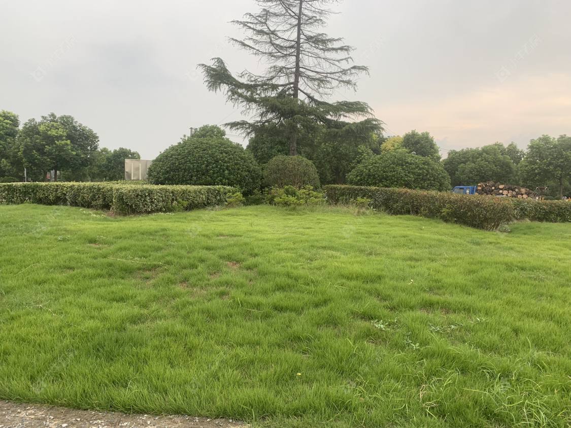 上海松沪苑小区_松沪苑小区null