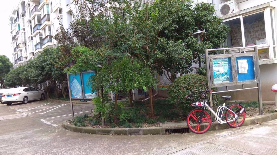 上海欣欣苑小区_欣欣苑小区null