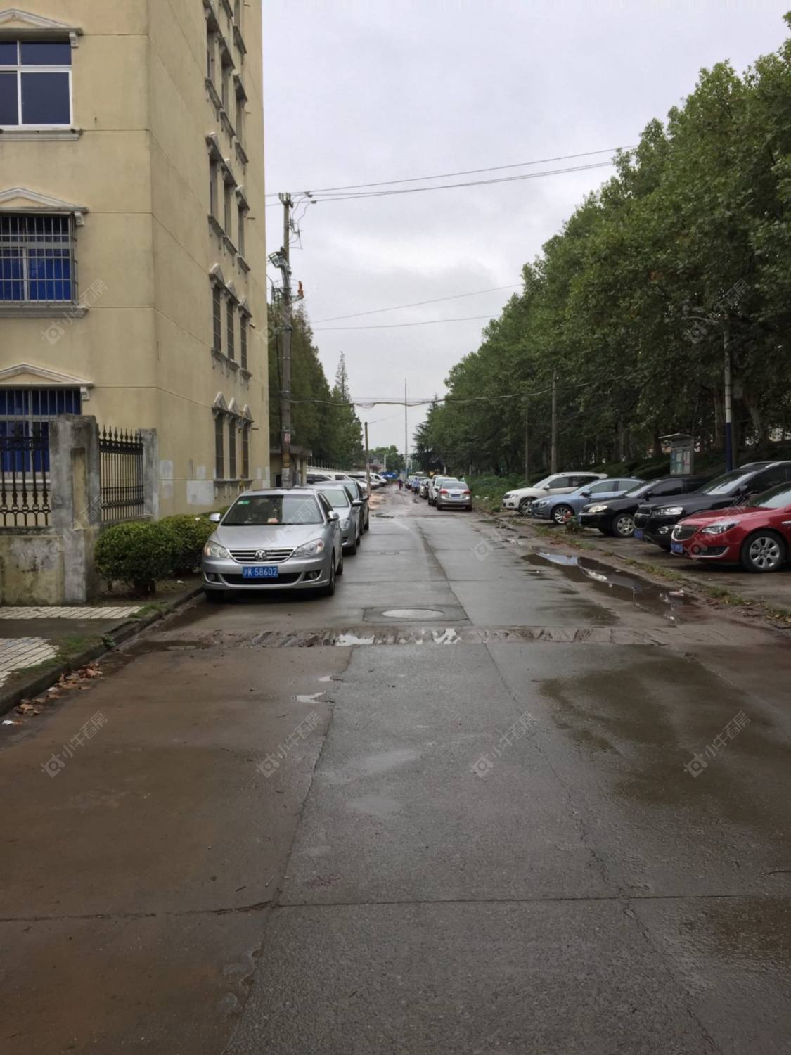 上海三鲁公路319弄小区_三鲁公路319弄小区null