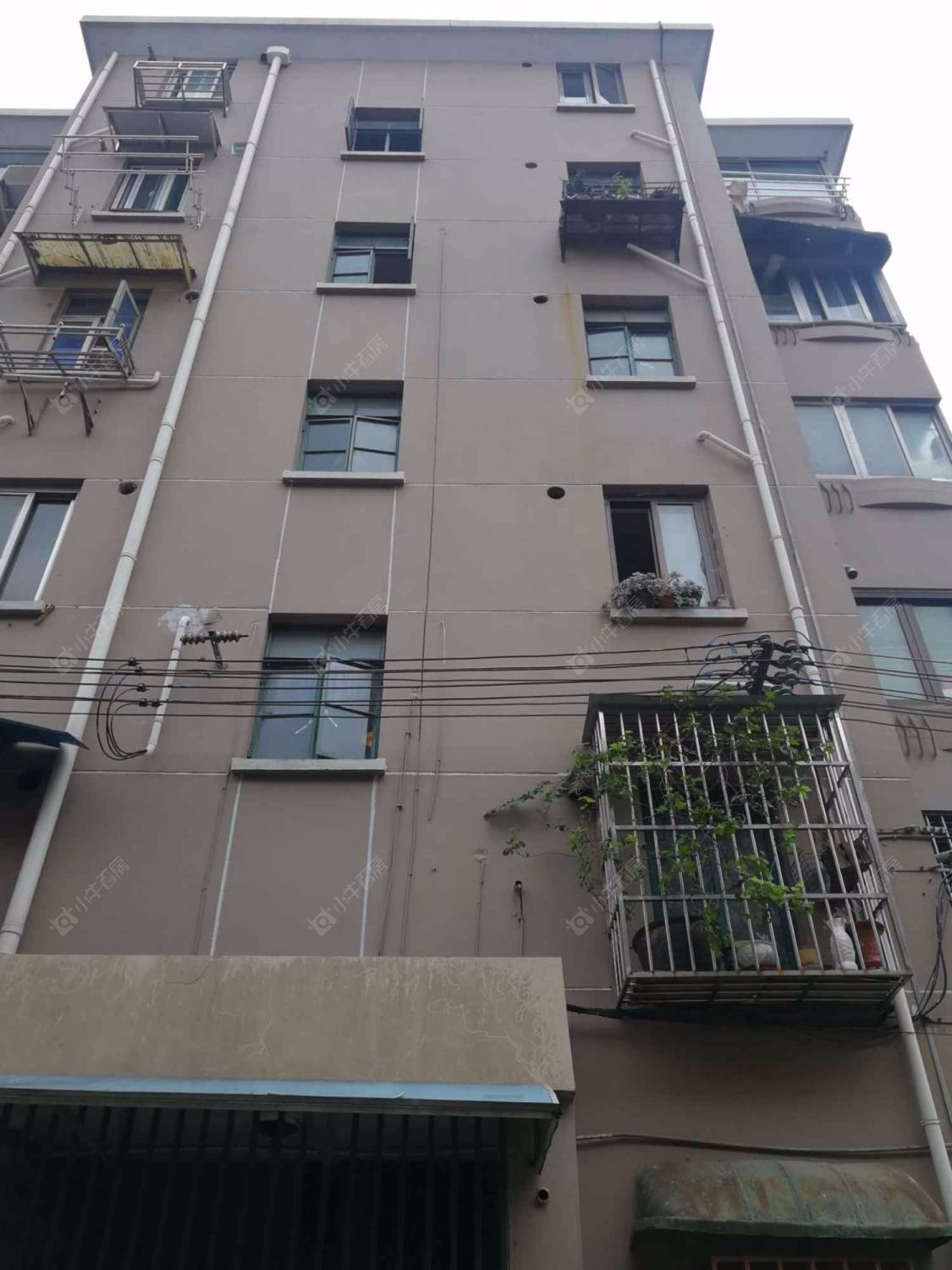 上海金龙花苑牡丹园小区_金龙花苑牡丹园小区null