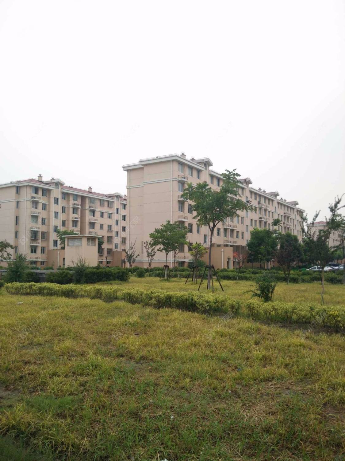 上海祝安苑小区_祝安苑小区null