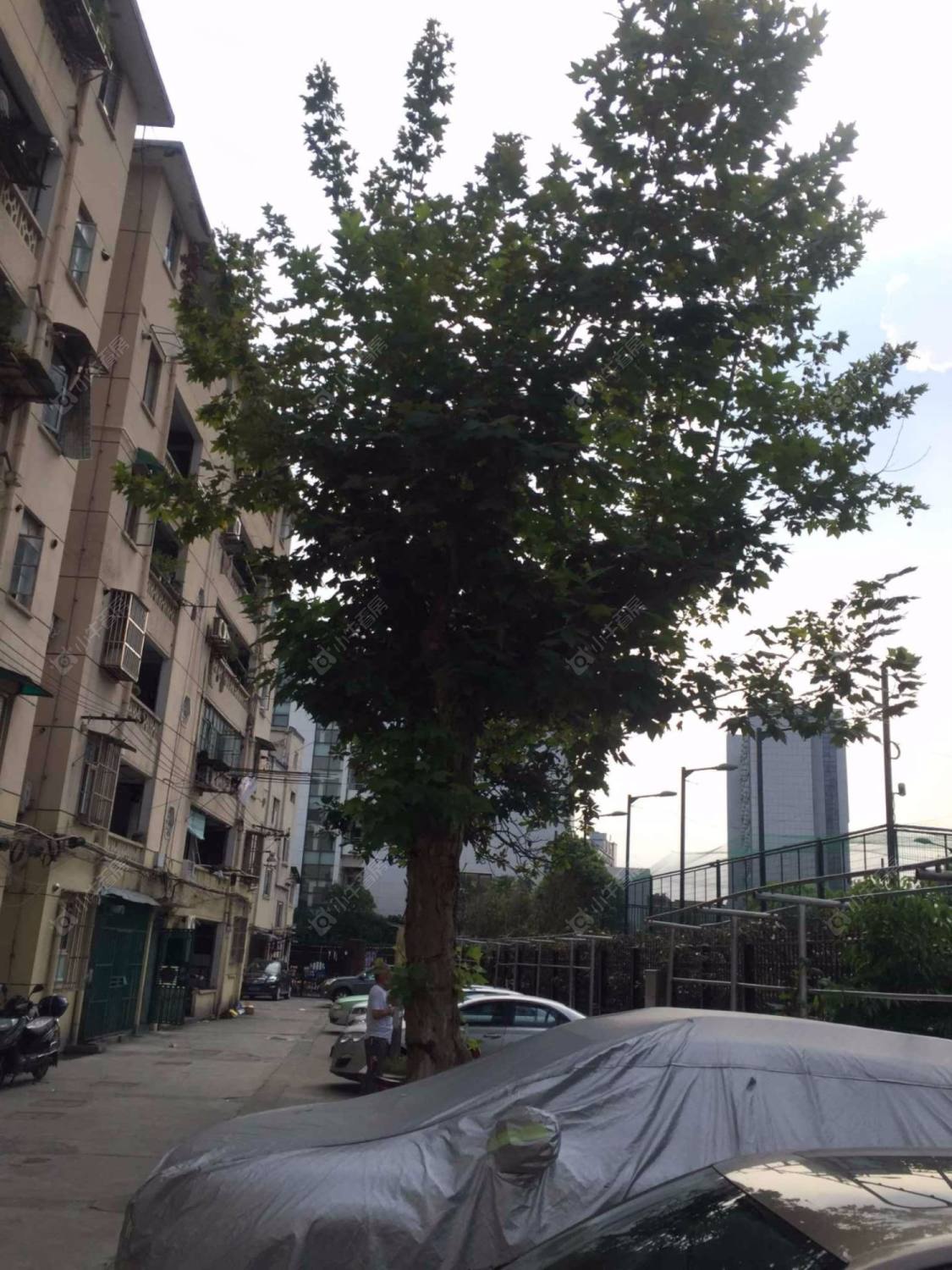 上海中山北路280弄小区_中山北路280弄小区null