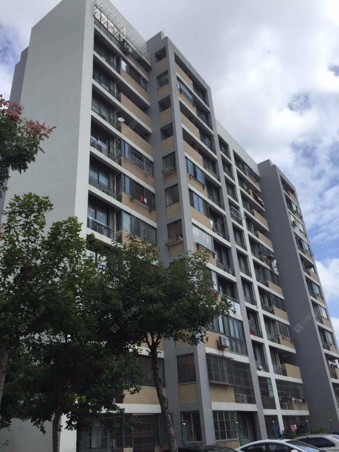 上海清风雅苑小区_小牛看房