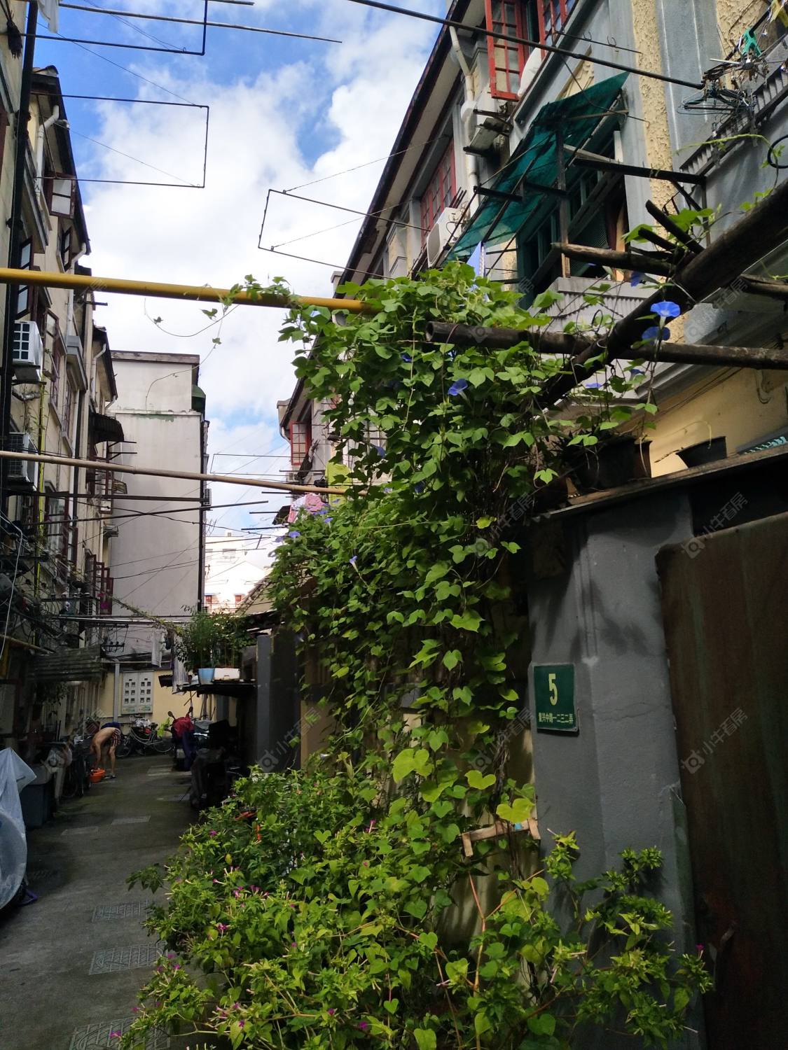 上海复兴中路1232弄小区_复兴中路1232弄小区实景图