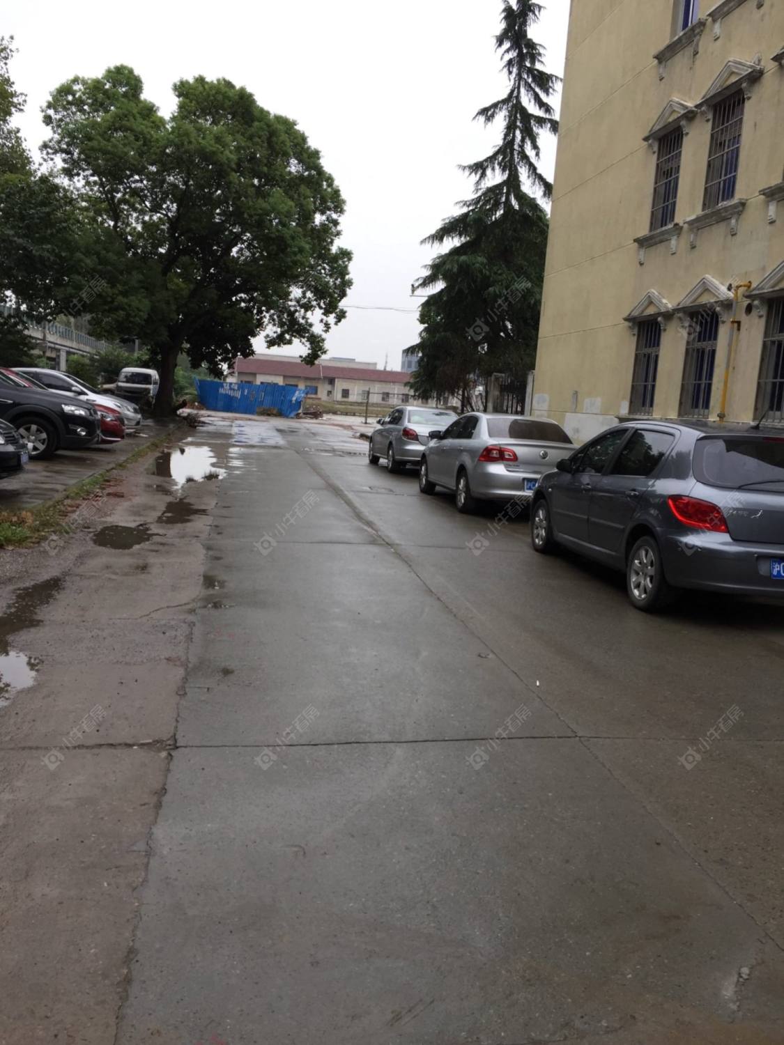 上海三鲁公路319弄小区_三鲁公路319弄小区null