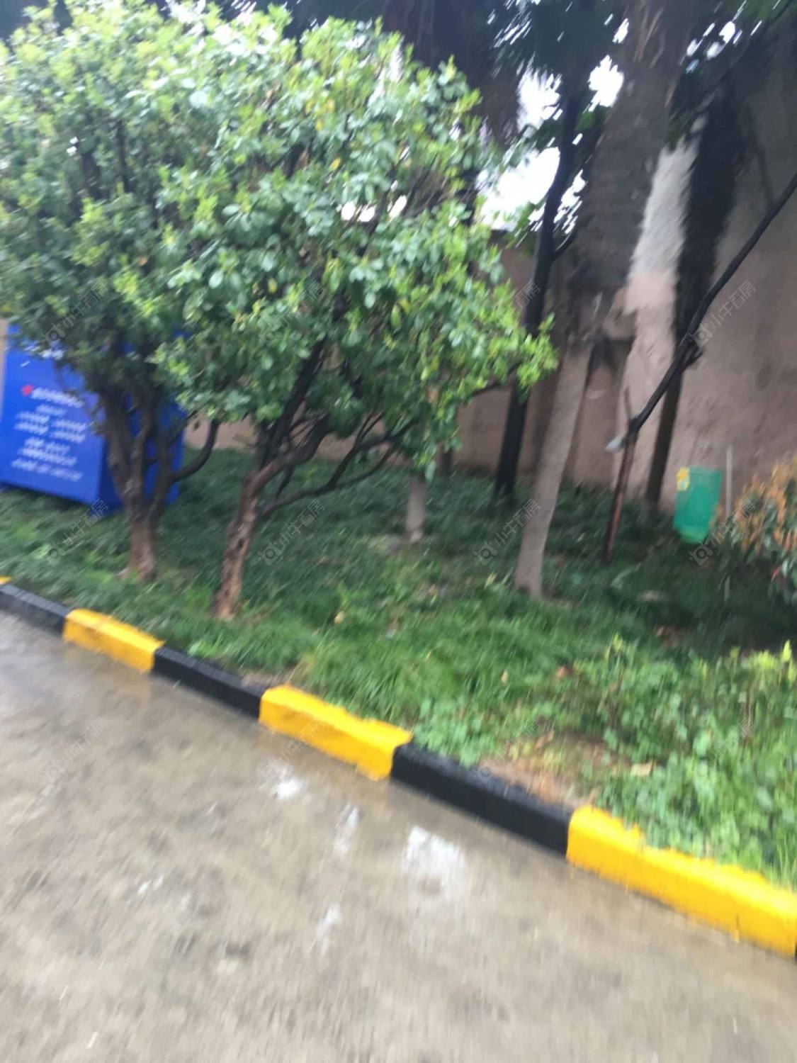 上海东新大楼小区_东新大楼小区null