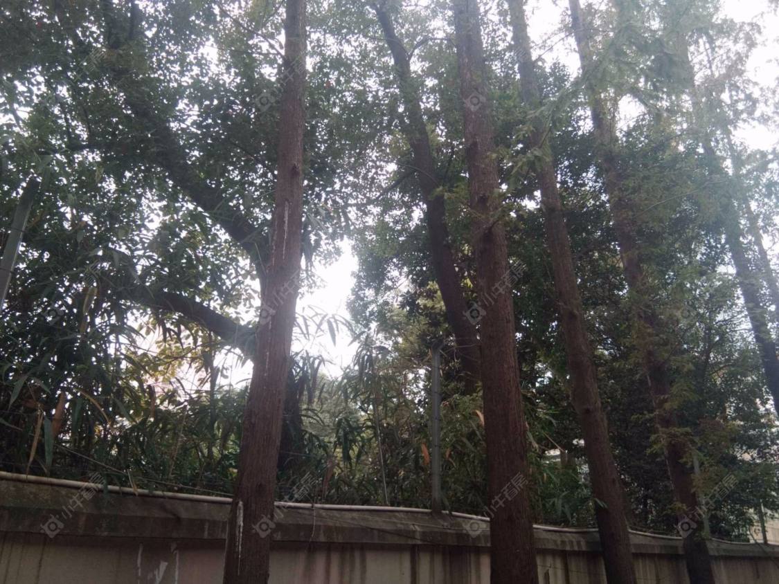 上海巨鹿路717弄小区_巨鹿路717弄小区null