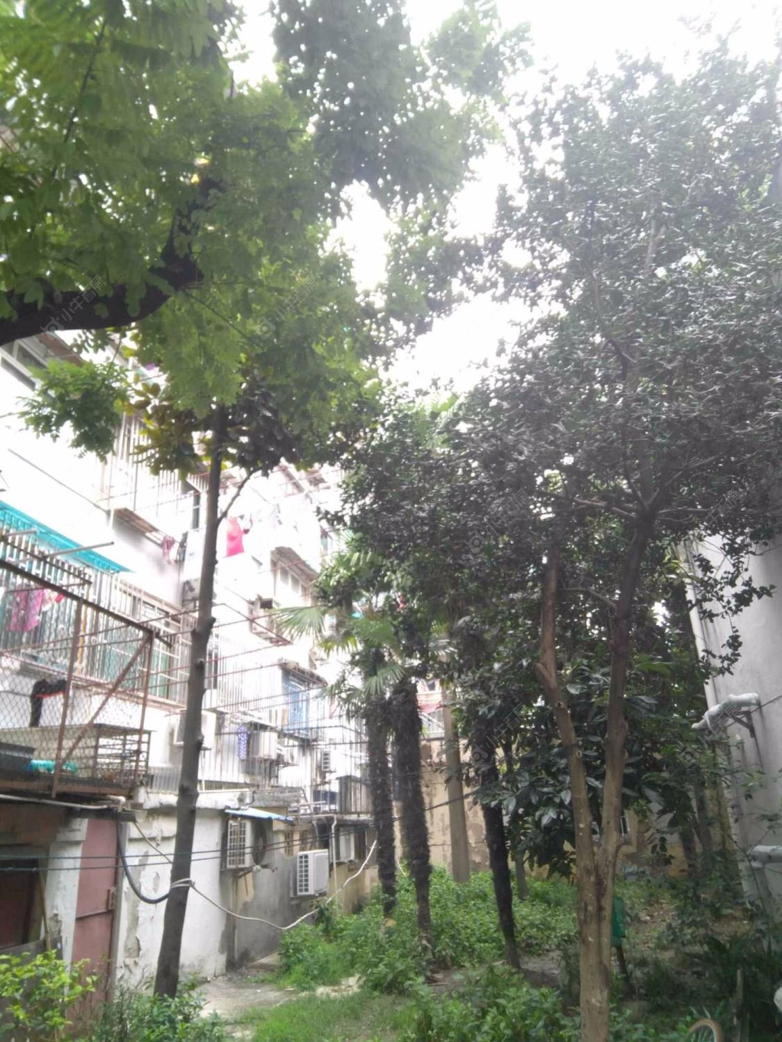 上海洛川路30弄小区_洛川路30弄小区null