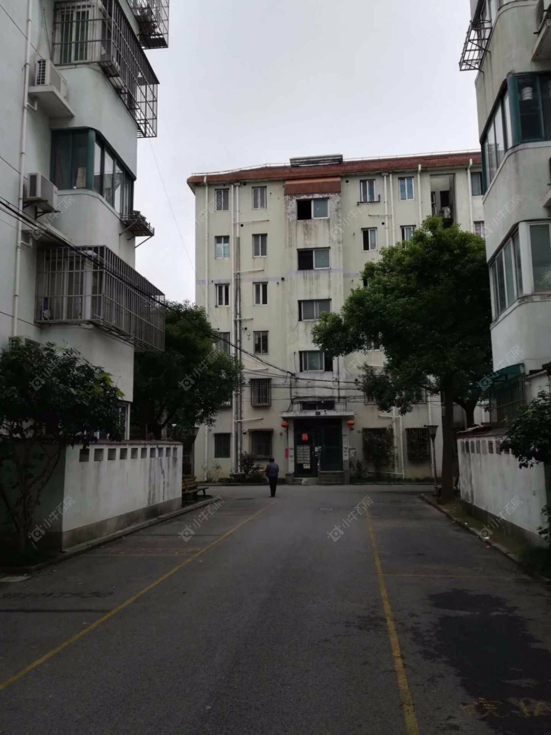 上海杨园四村北区小区_杨园四村北区小区null