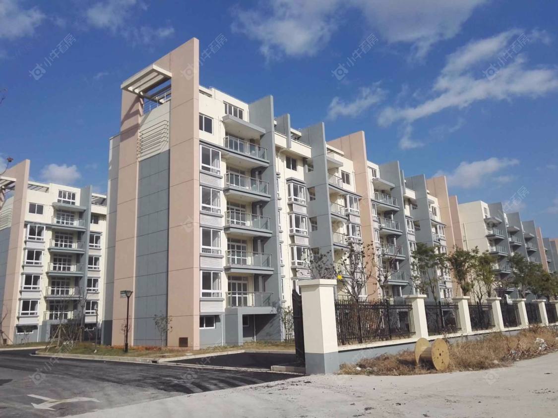 上海红光小区小区_红光小区小区null