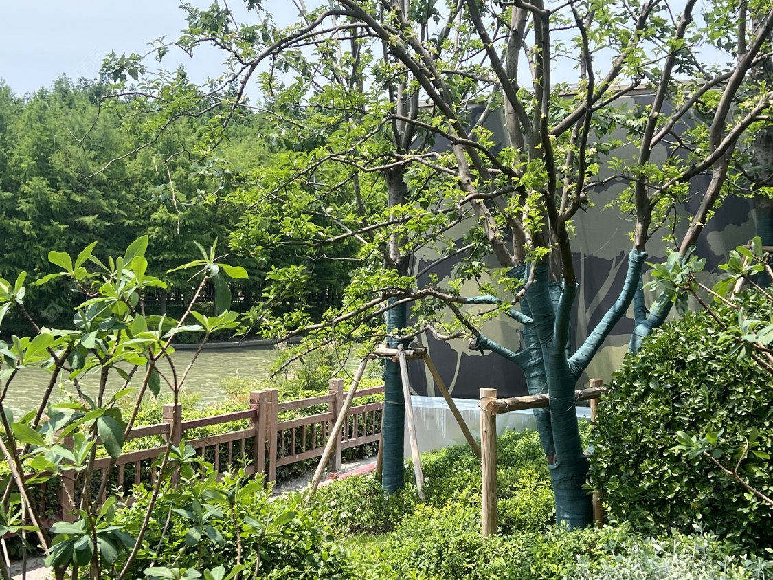 上海象屿天宸雅颂在售新楼盘null