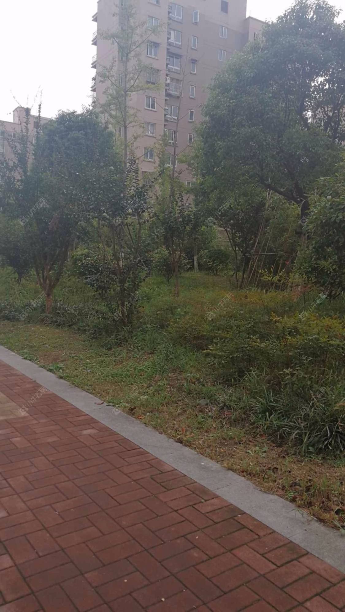 上海聚缘南庭小区_聚缘南庭小区null