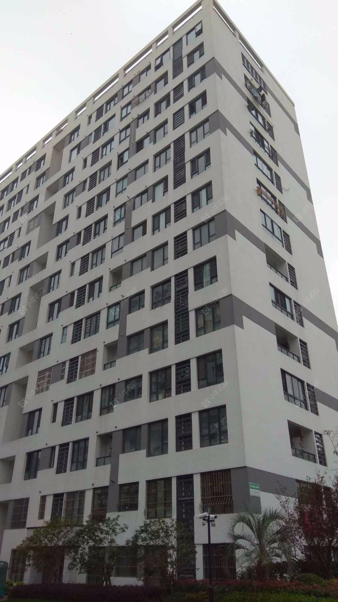 上海大学里小区_大学里小区实景图