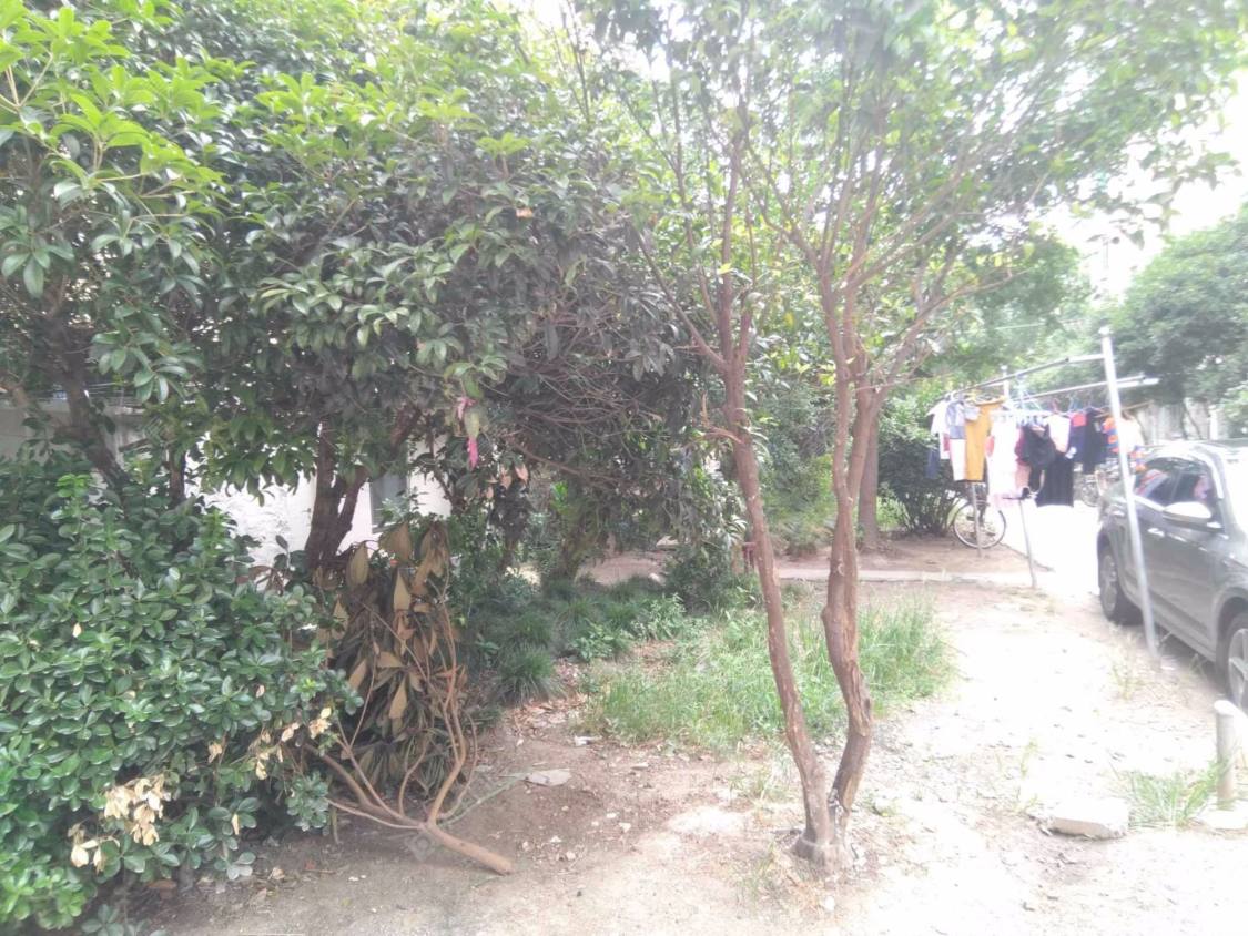 上海延长西路529弄小区_延长西路529弄小区null