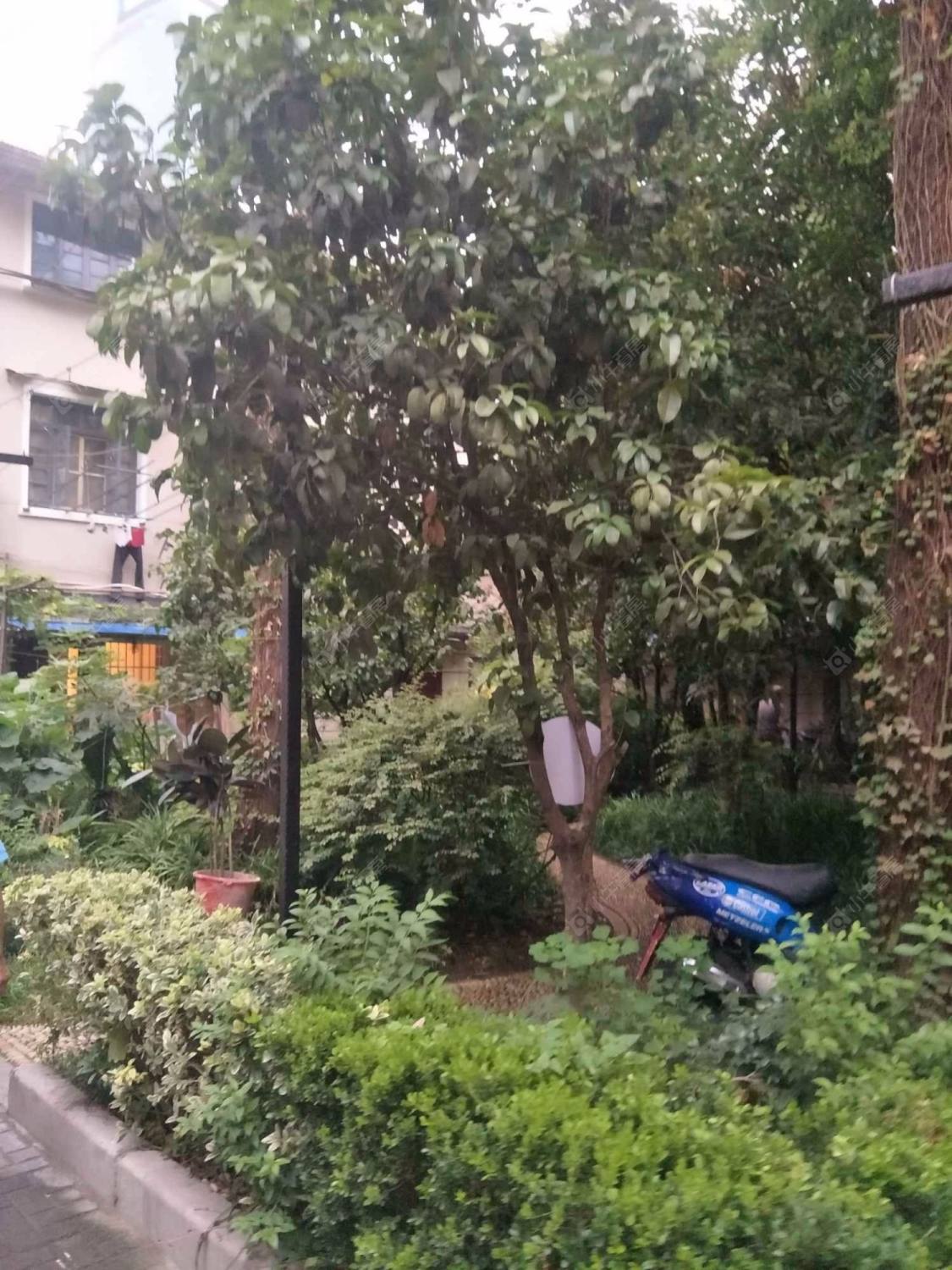 上海林村小区_林村小区null