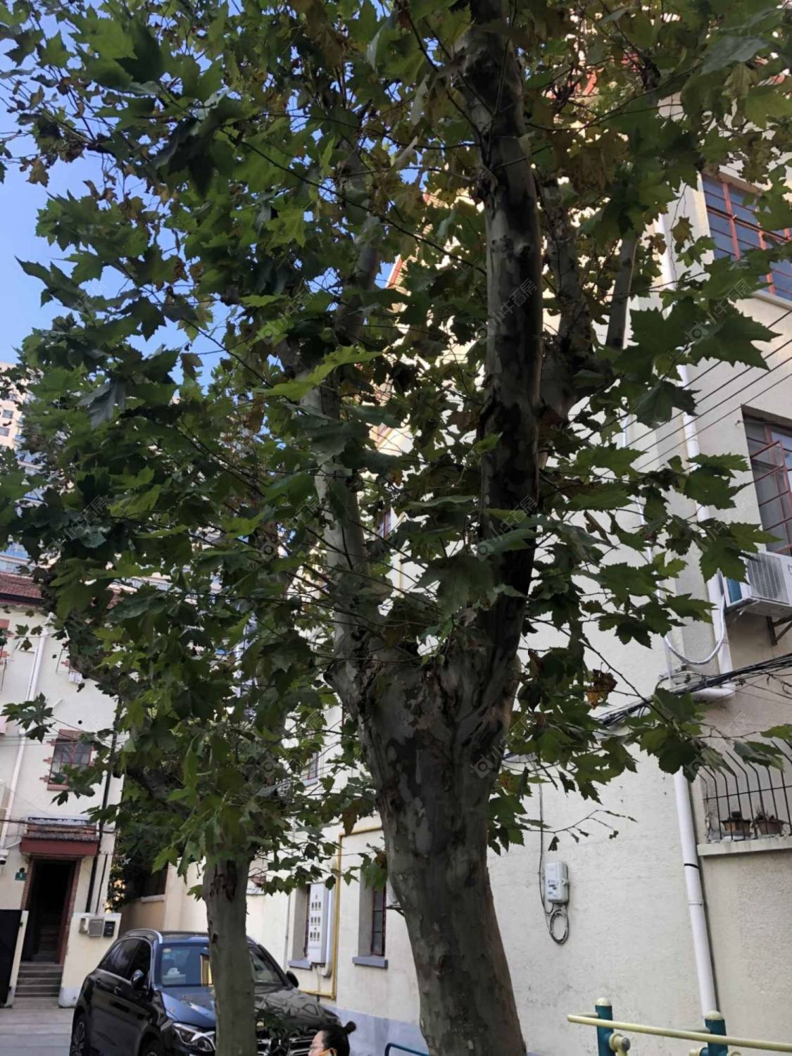 上海安福路228弄小区_小牛看房