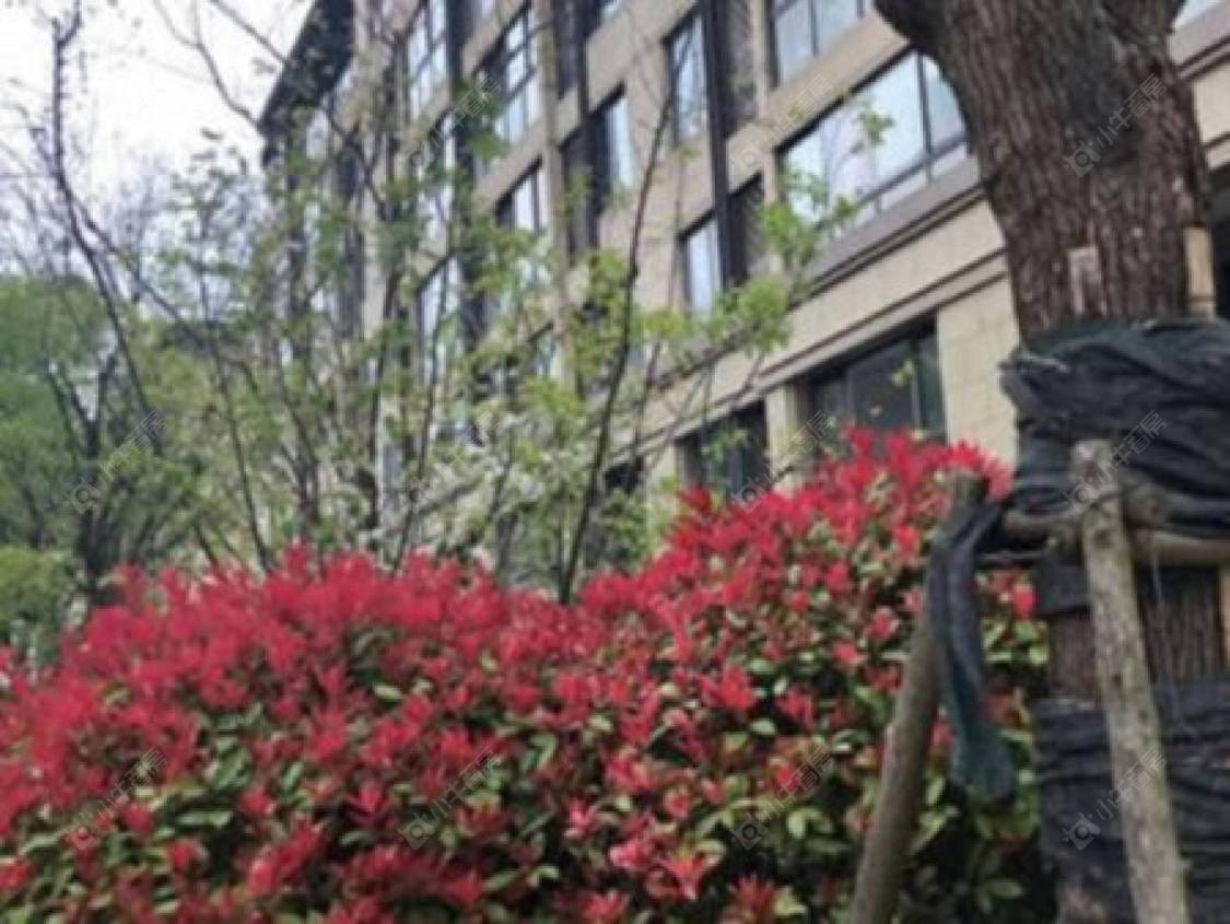 上海嘉宝梦之星小区_嘉宝梦之星小区null