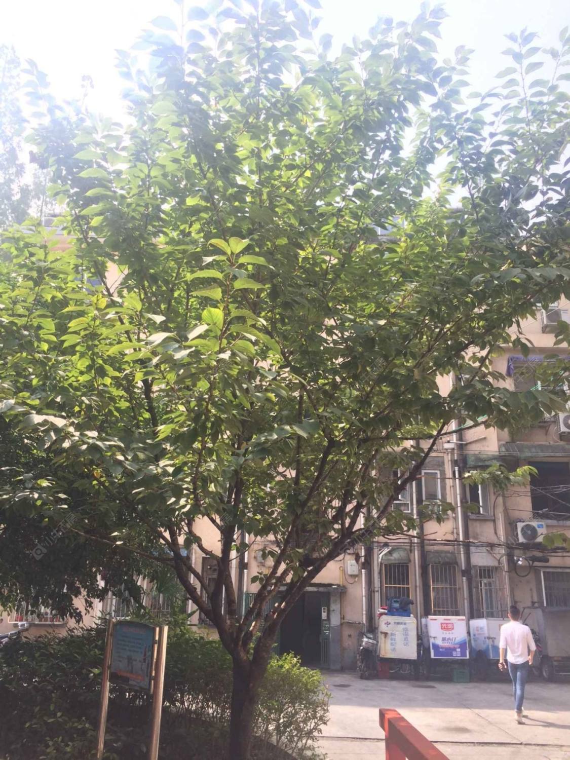 上海文缘村小区_文缘村小区null