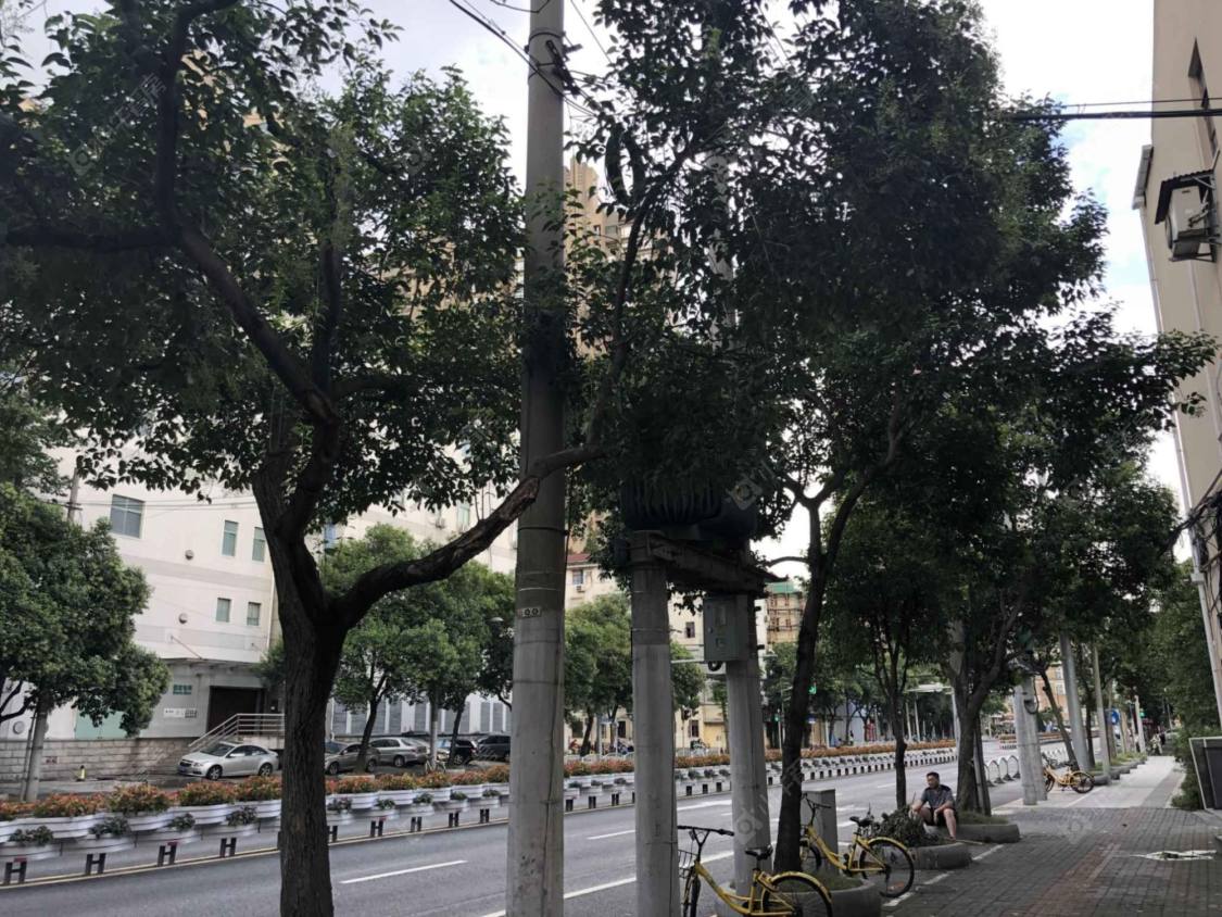 上海江苏路724弄小区_江苏路724弄小区null