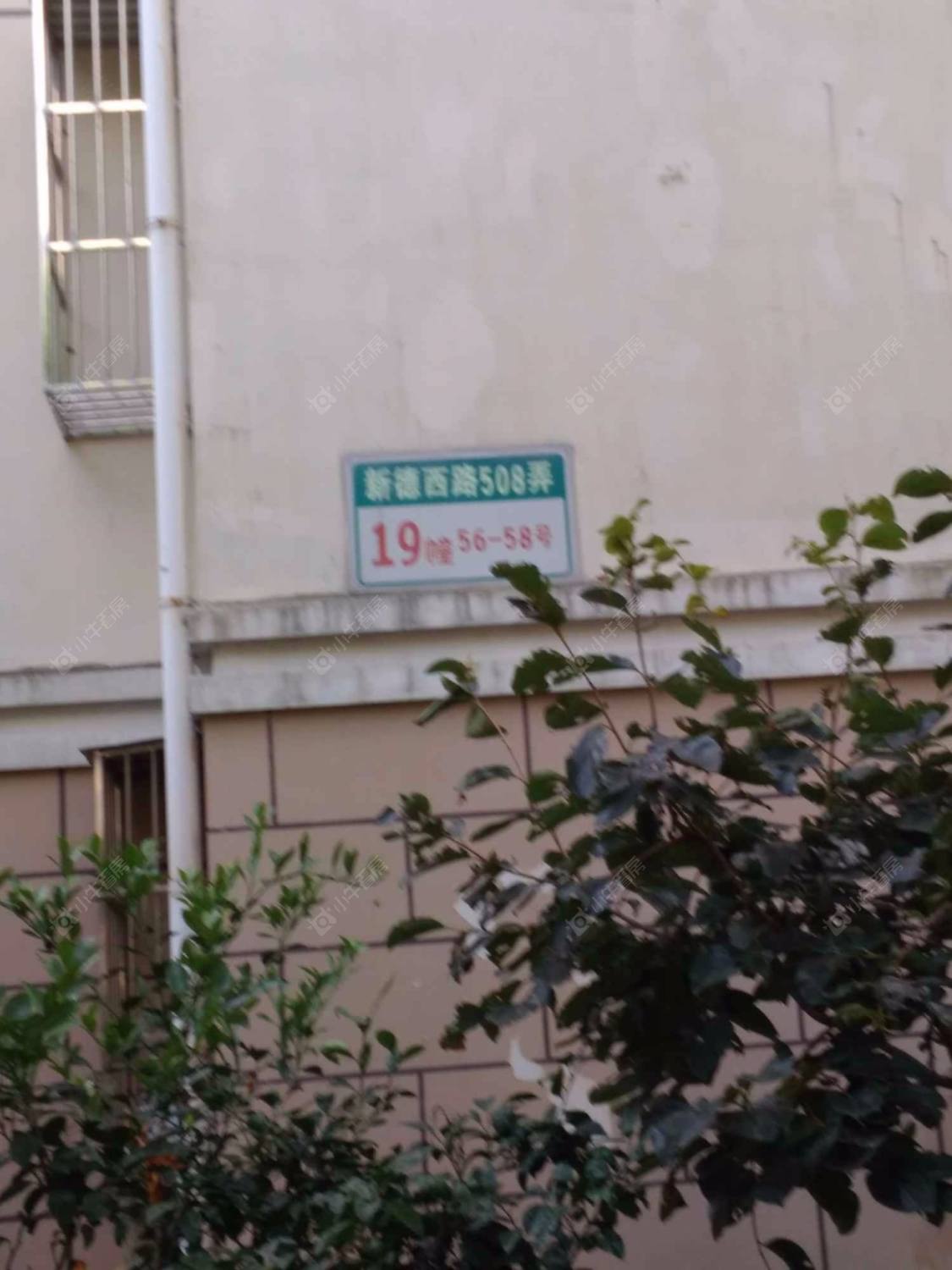 上海舒馨北苑小区_舒馨北苑小区null