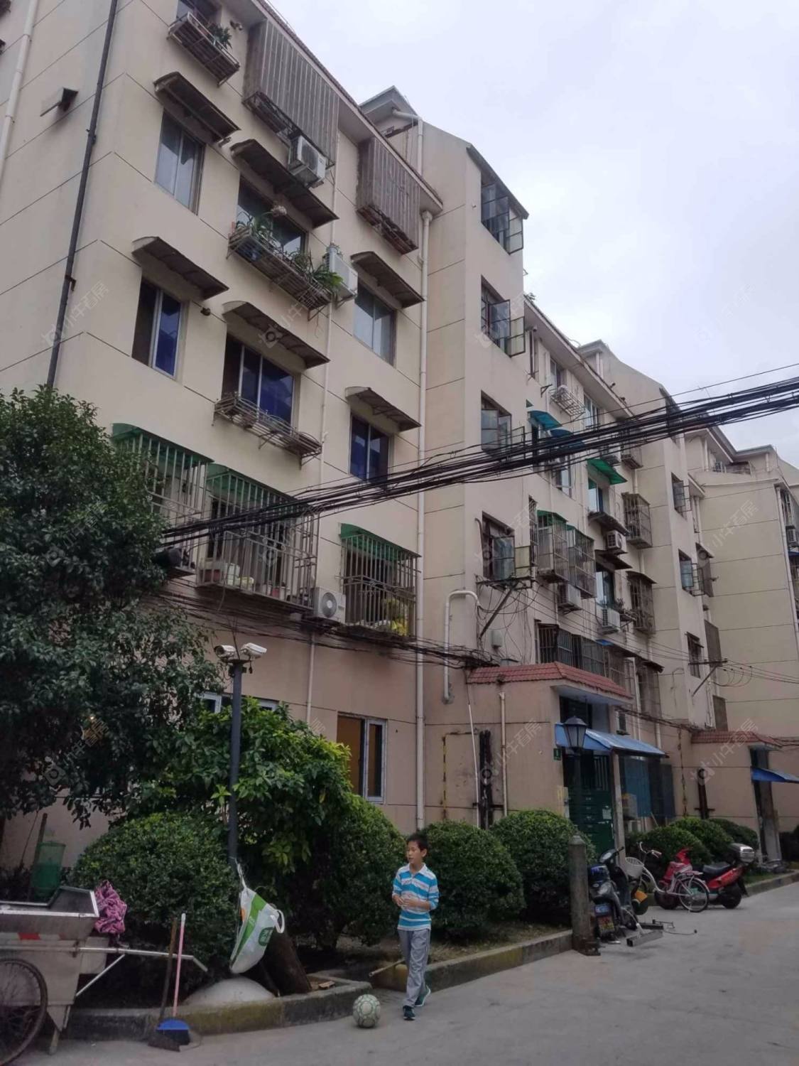 上海文新小区小区_文新小区小区null