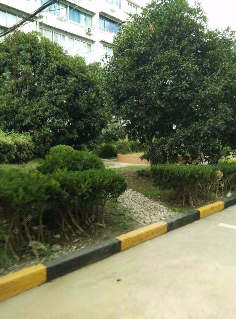 上海兴泉小区小区_兴泉小区小区null