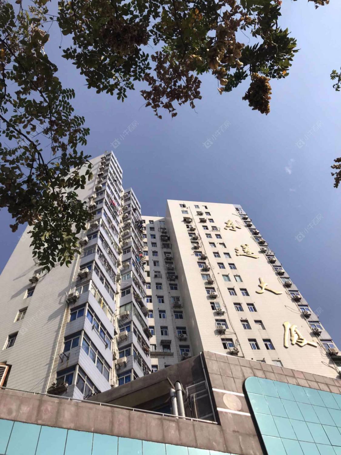 东莲大厦封面图_小牛看房